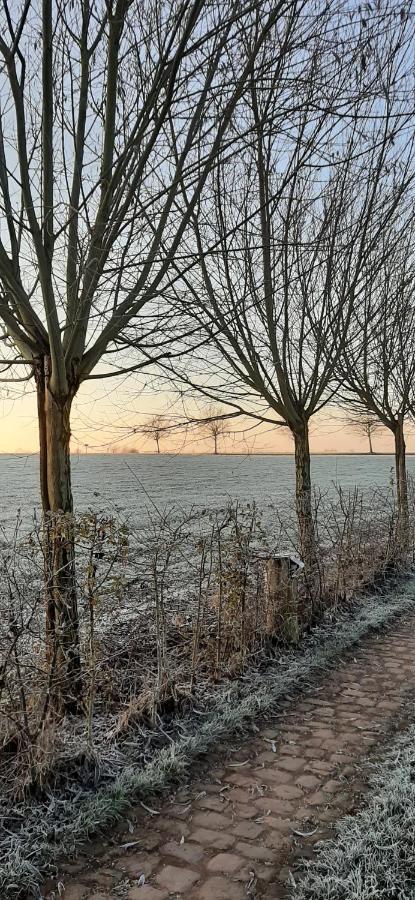 Vakantiewoning Victors Hof Tot 4 Pers Lievegem Exterior photo