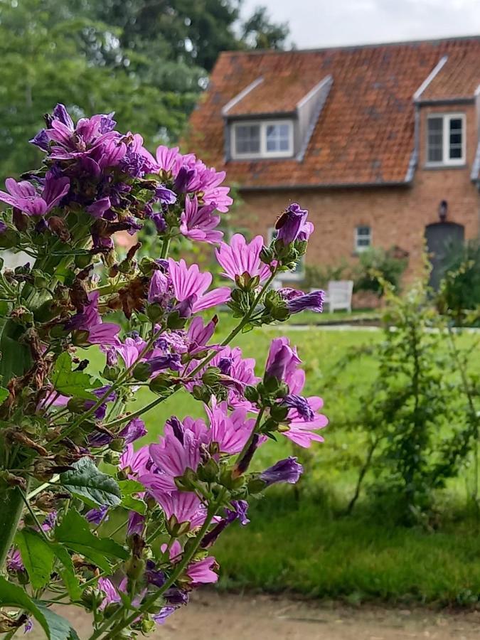 Vakantiewoning Victors Hof Tot 4 Pers Lievegem Exterior photo